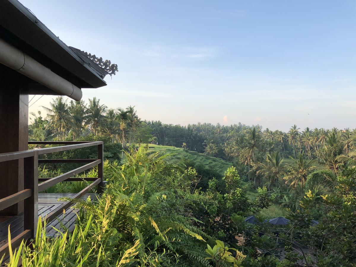 Soulshine Bali Hotel Ubud Eksteriør billede